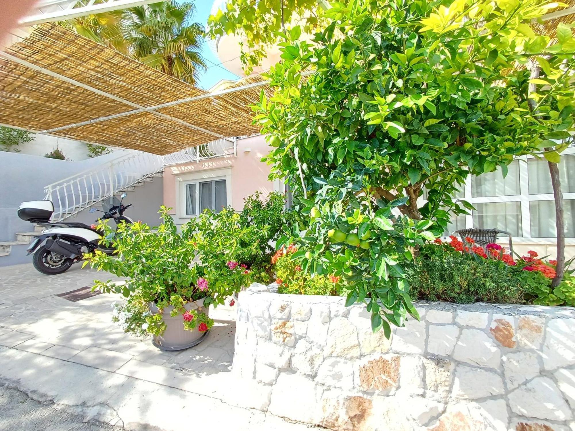 טרוגיר Apartments Jaksic מראה חיצוני תמונה